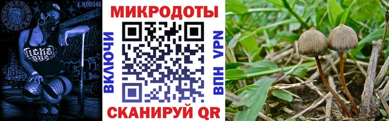 Галлюциногенные грибы мицелий  сколько стоит  Нолинск 